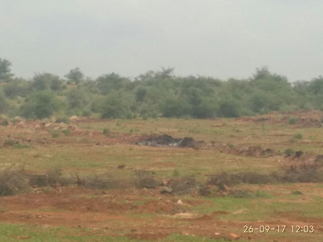 Commercial Energy Solutions